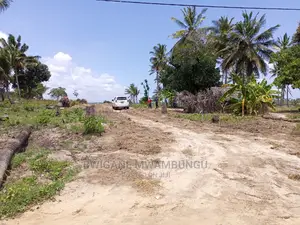 Tunauza Viwanja Kisemvule Bei Poa