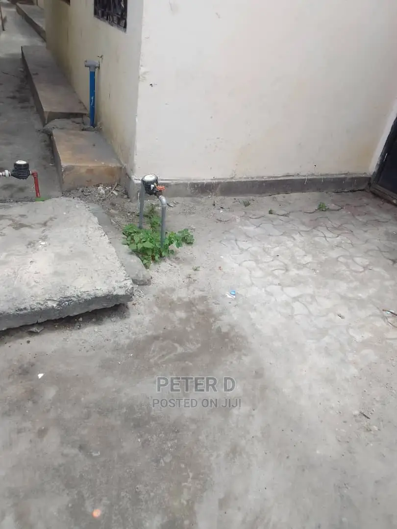 1bdrm Apartment in Mikocheni for rent