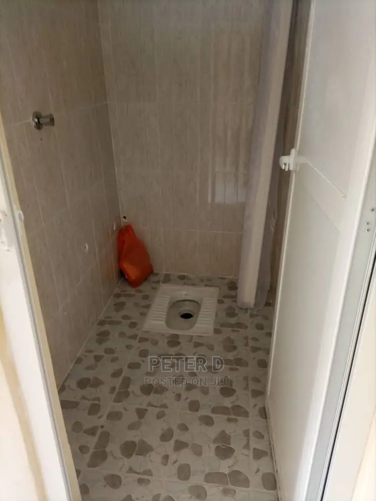 1bdrm Apartment in Mikocheni for rent