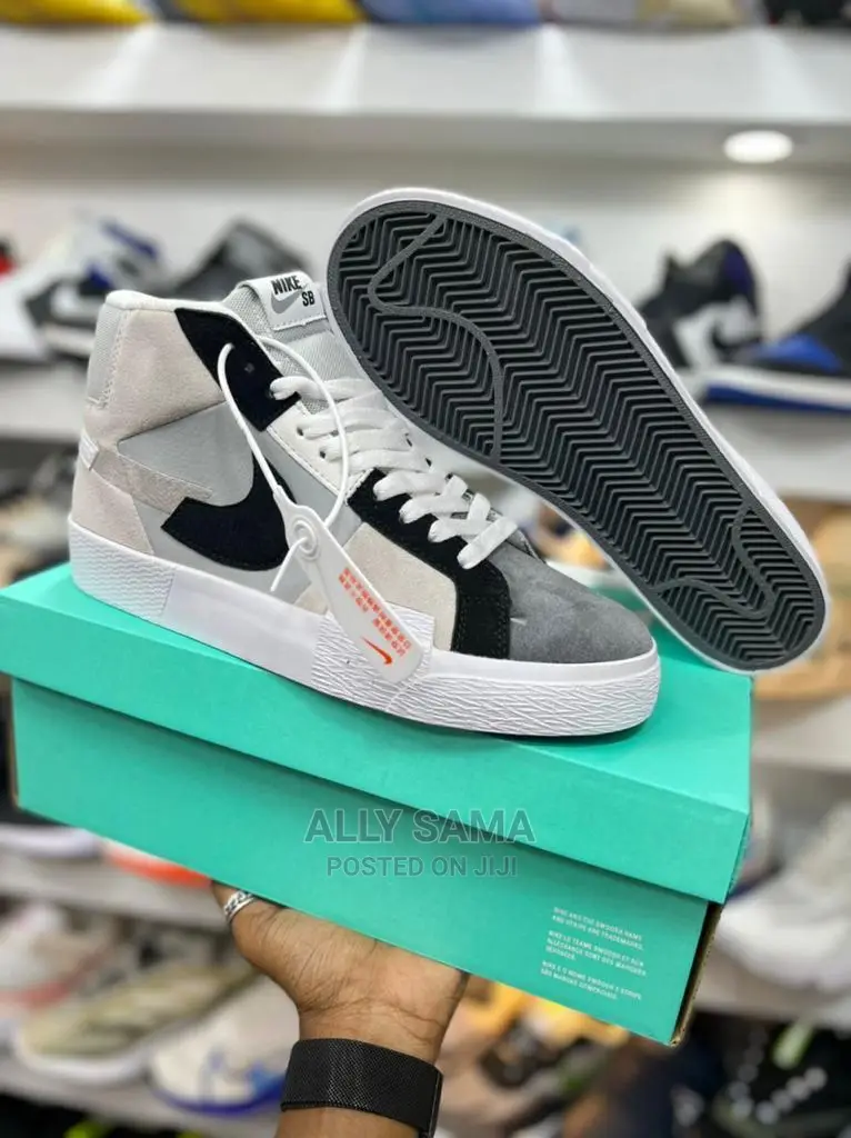 Nike SB Gray