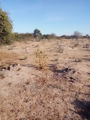 Acre 20000 for Sale Mvomero