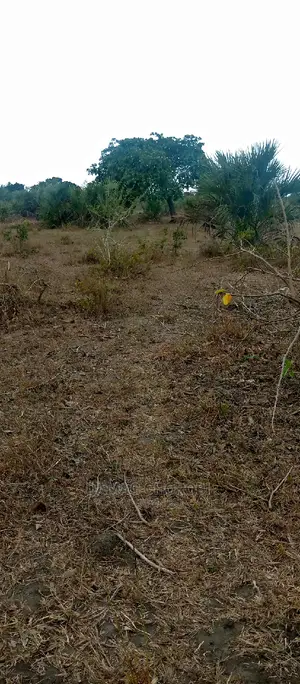Shamba Kubwa Acre 3000 Mihono Pwani for Sale