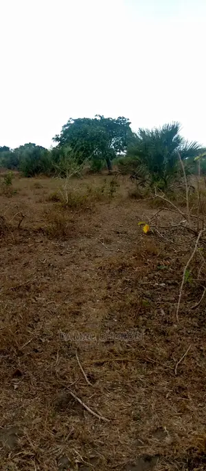 Shamba Kubwa Acre 3000 Mihono Pwani for Sale