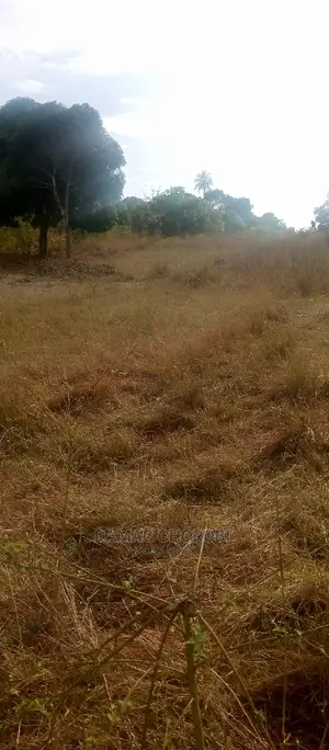 Acre 1000 for Sale Sale Mbwewe