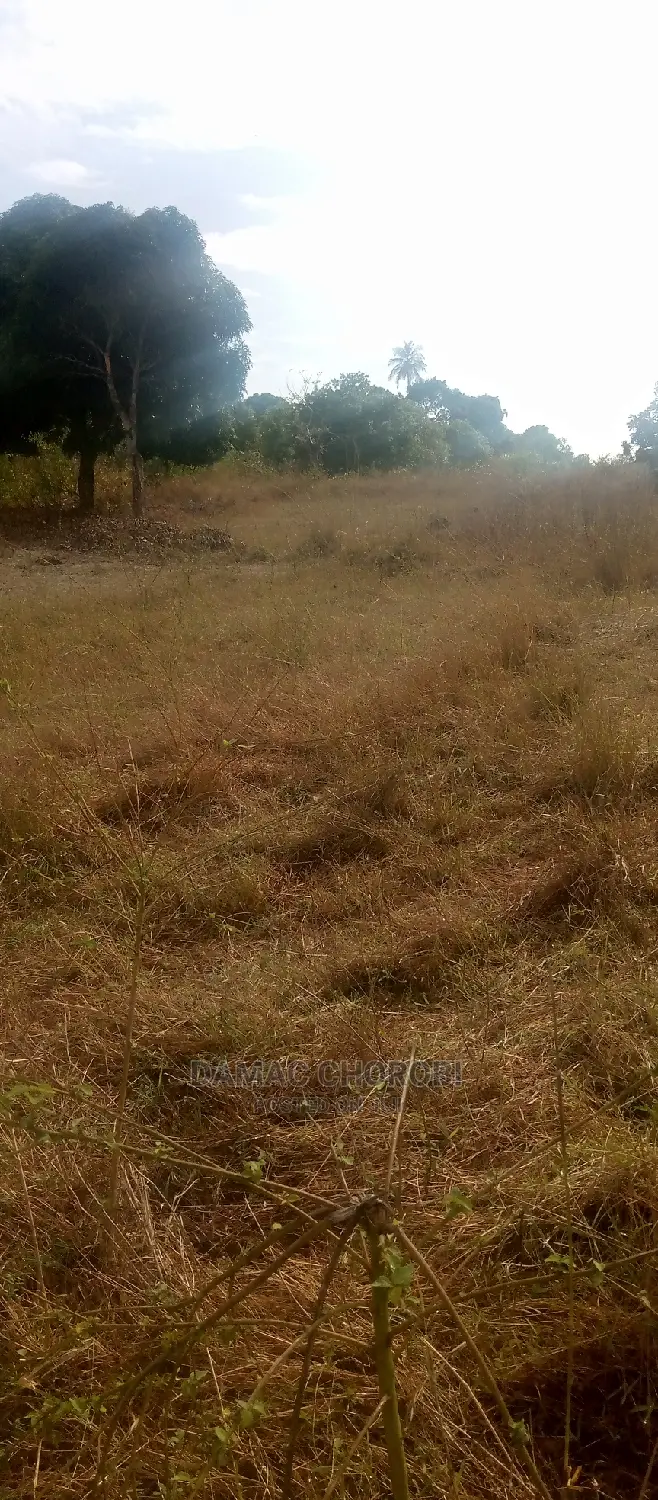 Acre 1000 for Sale Sale Mbwewe