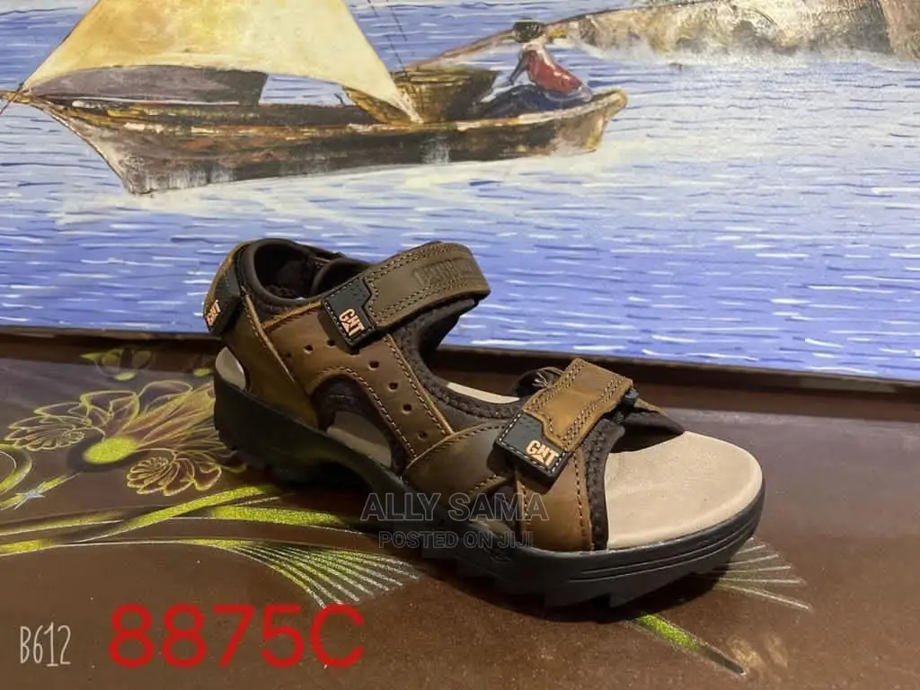Men's Sandals Brown