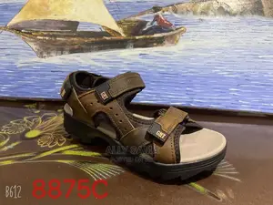 Men's Sandals Brown