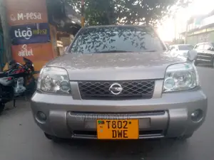 Nissan X-Trail 2.0 2005 Silver