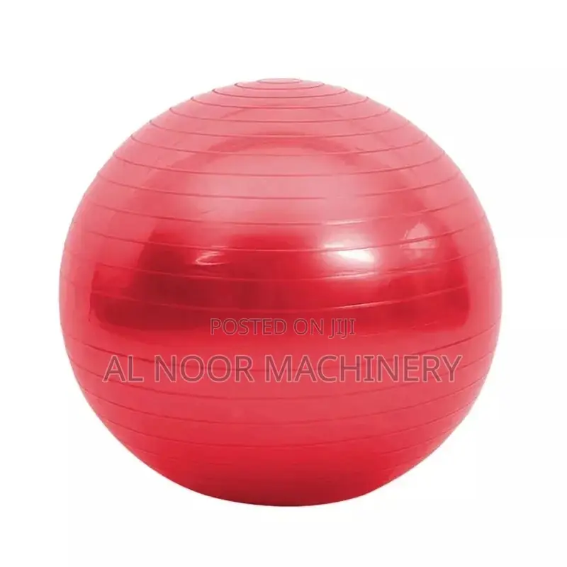 Yoga Ball Execise