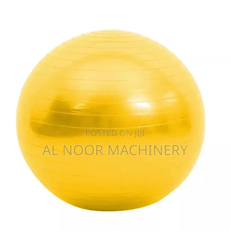 Yoga Ball Execise