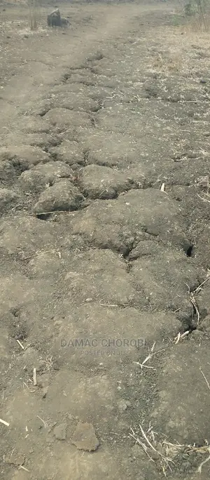 Acre 9000 Morogoro Road Zimetazama Barabara Ya Lami