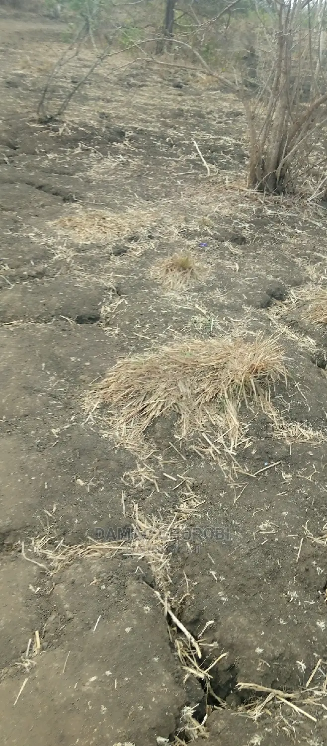 Acre 9000 Morogoro Road Zimetazama Barabara Ya Lami