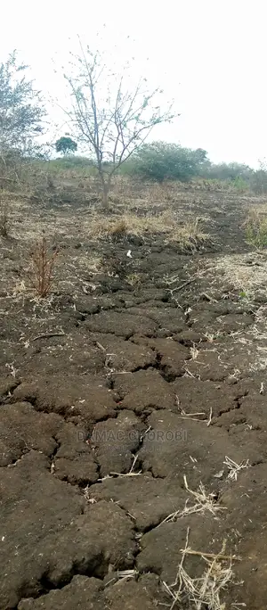Acre 9000 Morogoro Road Zimetazama Barabara Ya Lami