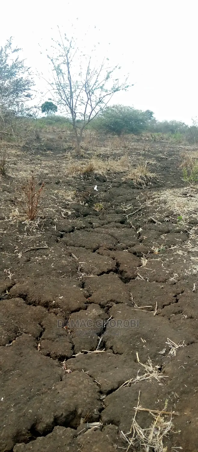 Acre 9000 Morogoro Road Zimetazama Barabara Ya Lami