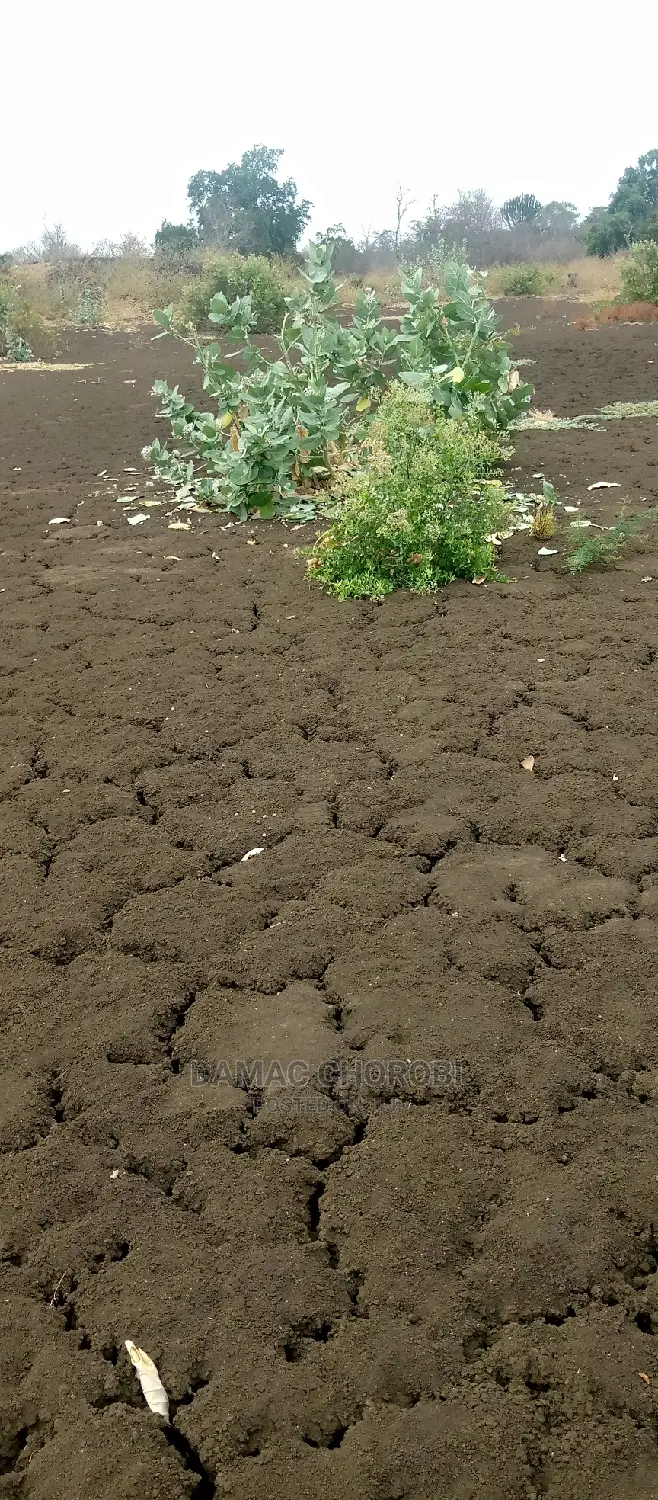 Shamba Bora Kwa Kilimo Cha Kumwagilia Linauzwa