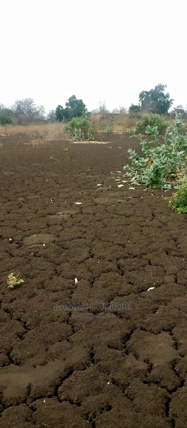 Shamba Bora Kwa Kilimo Cha Kumwagilia Linauzwa
