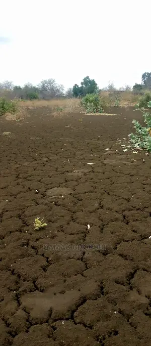 Shamba Bora Kwa Kilimo Cha Kumwagilia Linauzwa