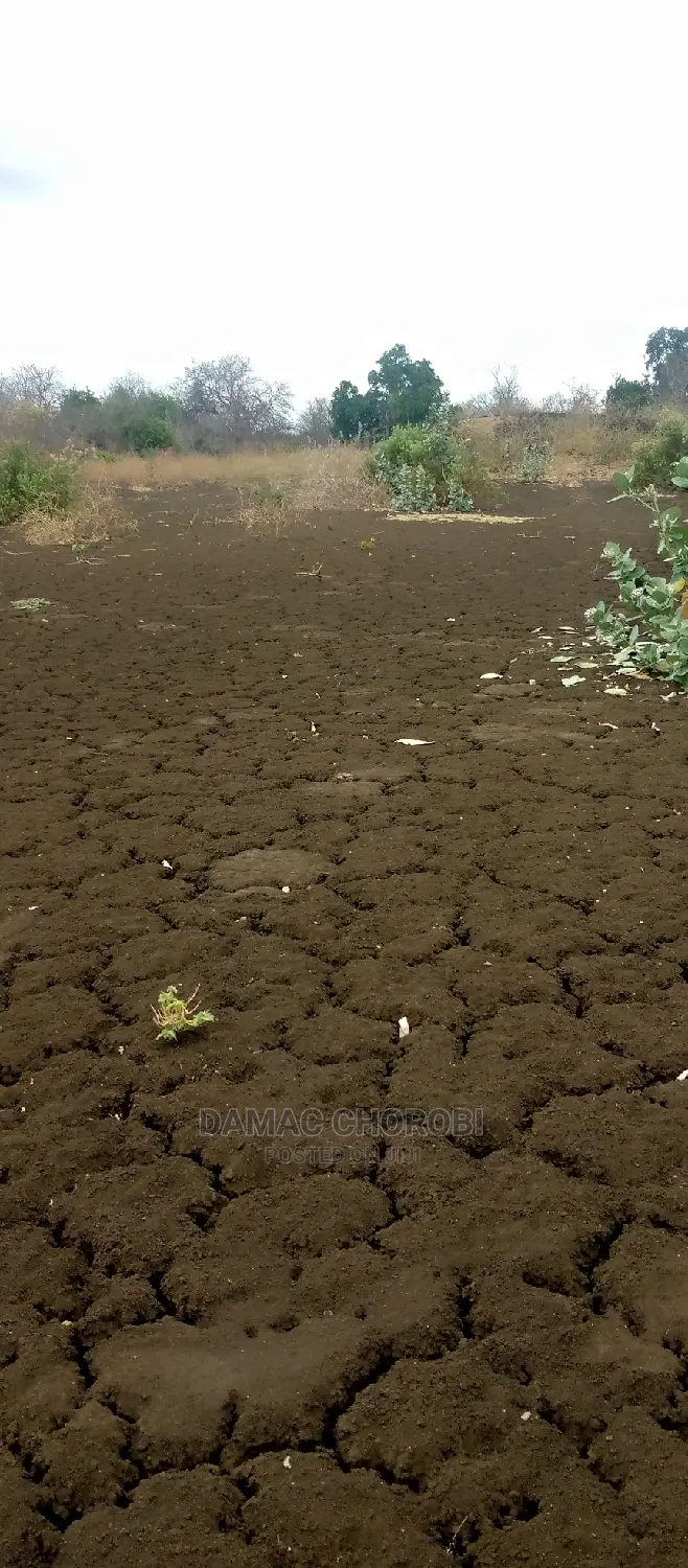 Shamba Bora Kwa Kilimo Cha Kumwagilia Linauzwa