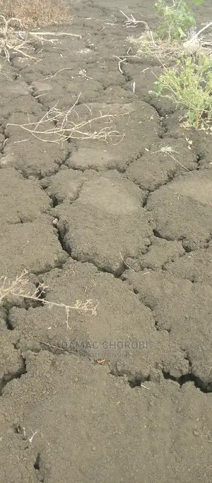 Acre 1000 for Sale Mvomero Morogoro Njia Ya Iringa Barabani