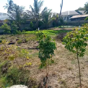 Plot for Sale Ar Tegeta Dawasco.