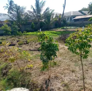 Plot for Sale Ar Tegeta Dawasco.