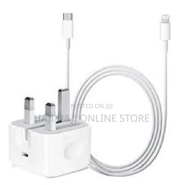 Apple iPhone 11 Pro Max Charger