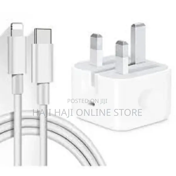 Apple iPhone 11 Pro Max Charger