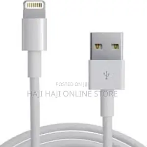 iPhone Charger Cable