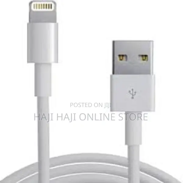 iPhone Charger Cable