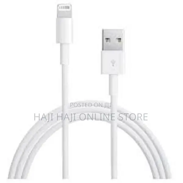 iPhone Charger Cable