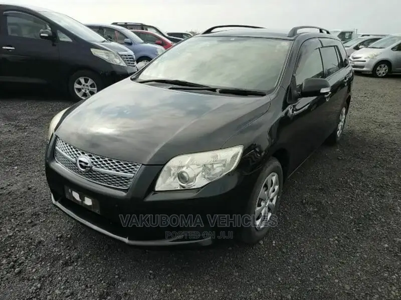 Toyota Corolla Fielder 2008 Black