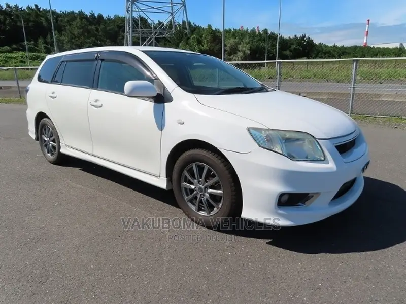 Toyota Corolla Fielder 2009 Pearl
