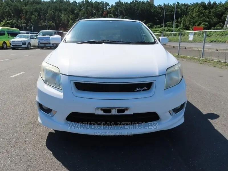 Toyota Corolla Fielder 2009 Pearl