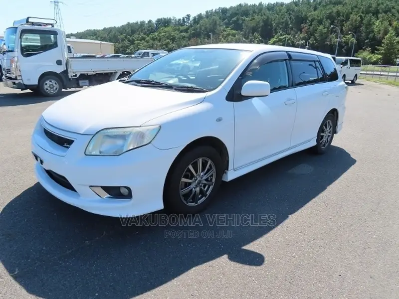 Toyota Corolla Fielder 2009 Pearl