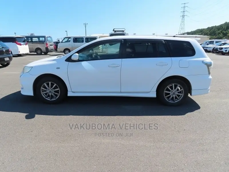 Toyota Corolla Fielder 2009 Pearl