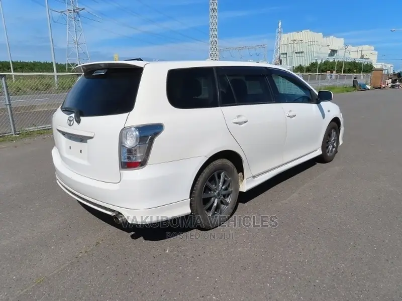 Toyota Corolla Fielder 2009 Pearl