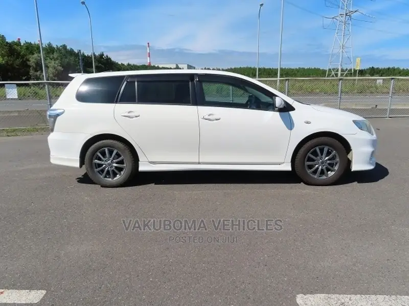 Toyota Corolla Fielder 2009 Pearl