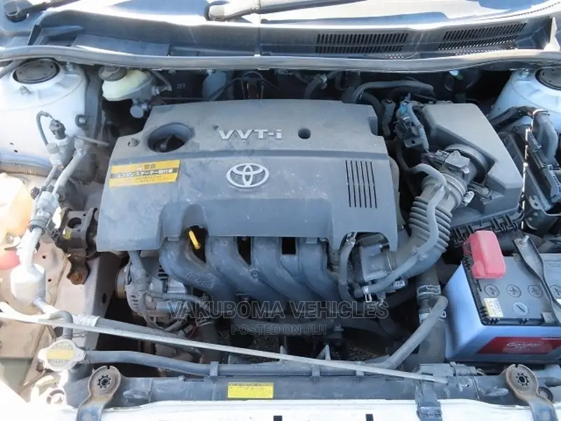 Toyota Corolla Fielder 2009 Pearl