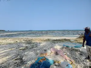 Beach Land for Sale in Dar Es Salaam Kigamboni, Bigstone.