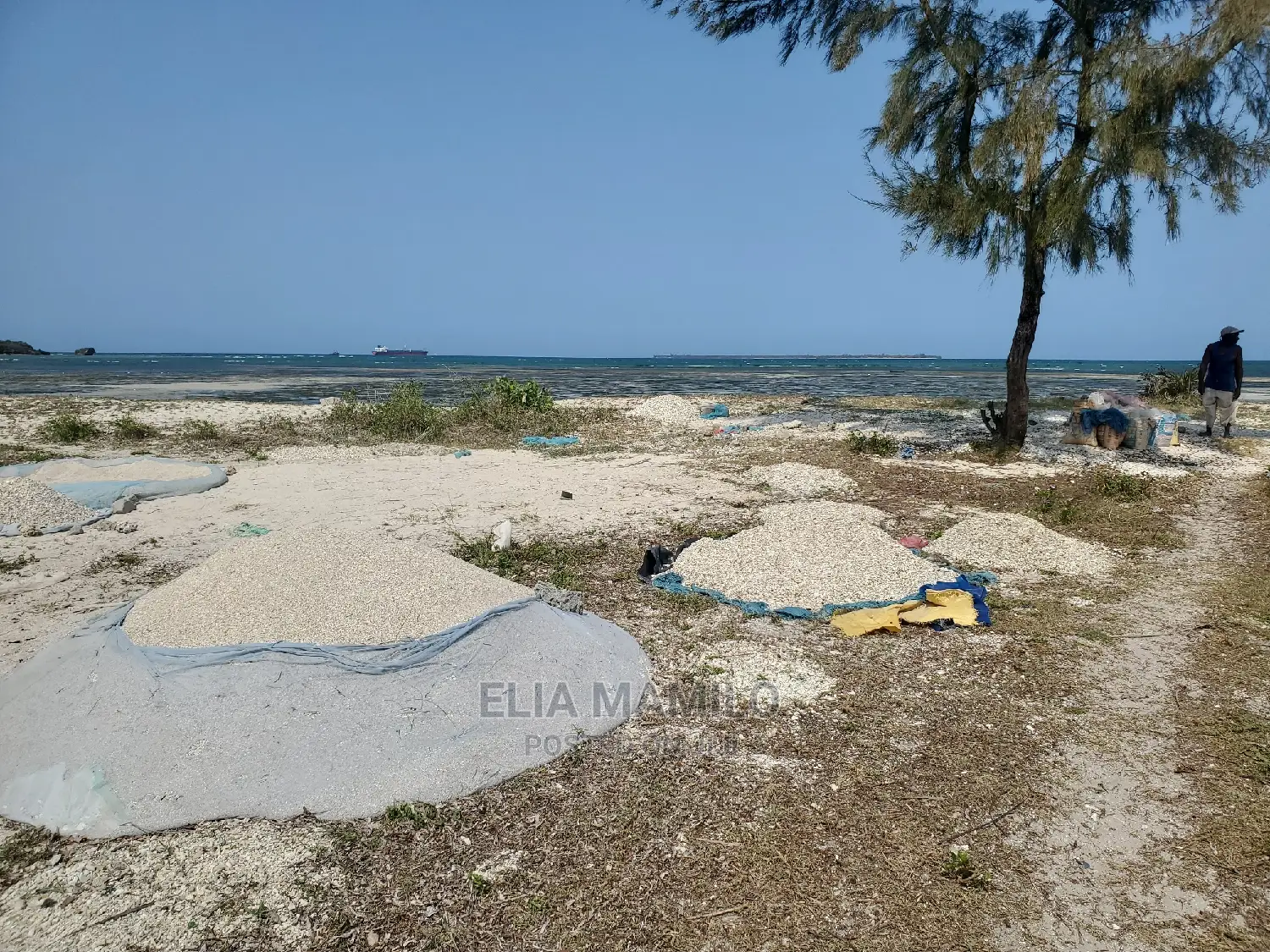 Beach Land for Sale in Dar Es Salaam Kigamboni, Bigstone.