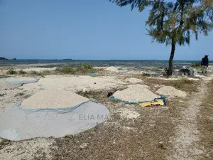 Beach Land for Sale in Dar Es Salaam Kigamboni, Bigstone.