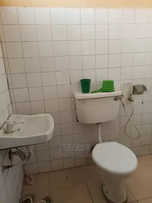 1bdrm Apartment in Kariakoo for rent