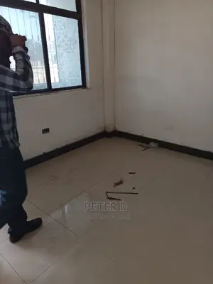 1bdrm Apartment in Kariakoo for Rent