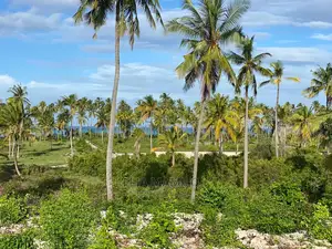 Beach Front Plot for Sale in Zanzibar.