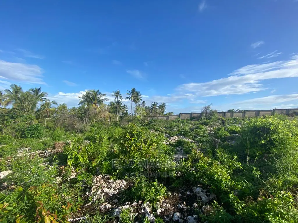 Beach Front Plot for Sale in Zanzibar.