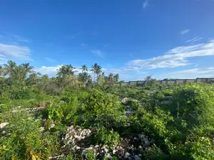 Beach Front Plot for Sale in Zanzibar.