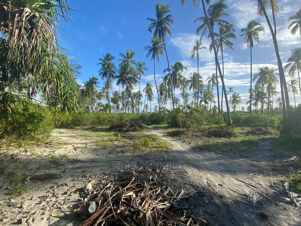 Beach Front Plot for Sale in Zanzibar.