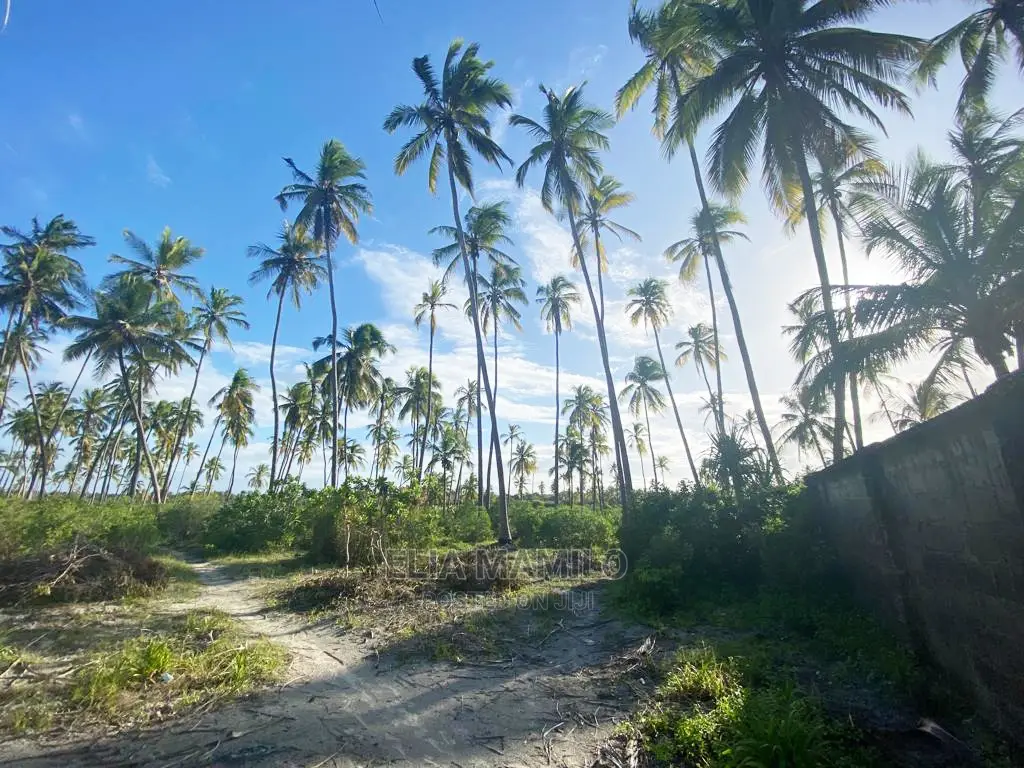 Beach Front Plot for Sale in Zanzibar.