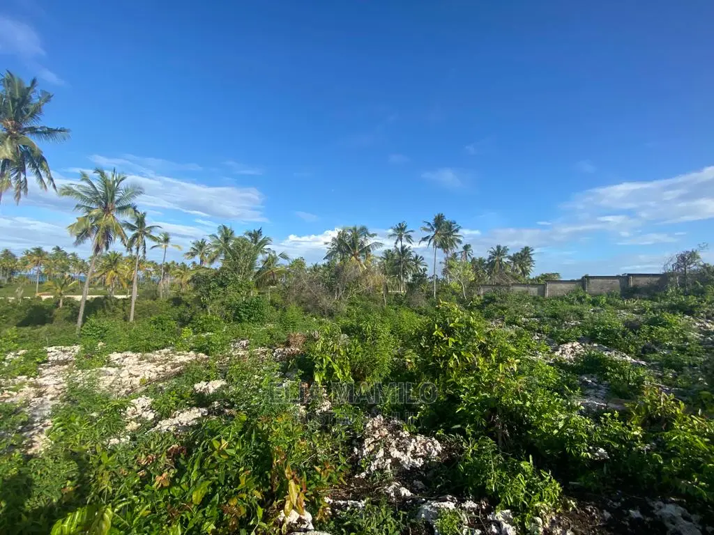 Beach Front Plot for Sale in Zanzibar.