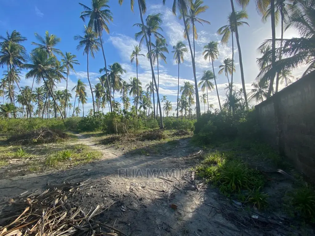 Beach Front Plot for Sale in Zanzibar.